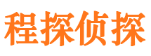 带岭侦探